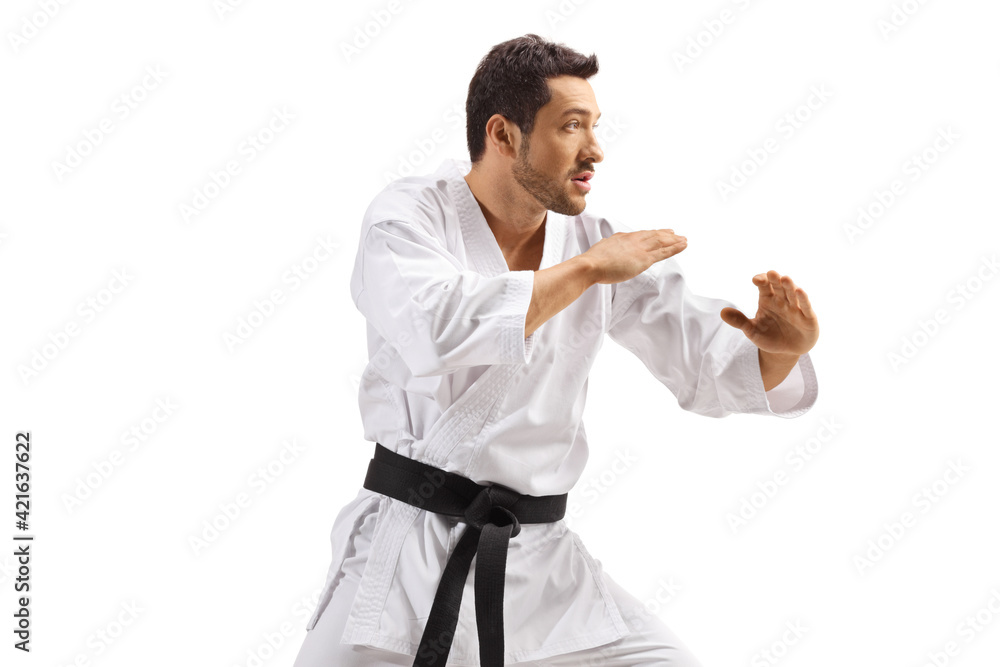 Poster Man in kimono with black belt practicing karate