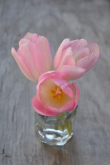 Three pink tulips in a small glass jar.