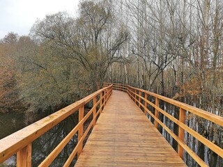 Wooden bridge in nature, with trees. It transmits a lot of calm and peace.