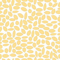 pumpkin seeds of various sizes in shell on a white background