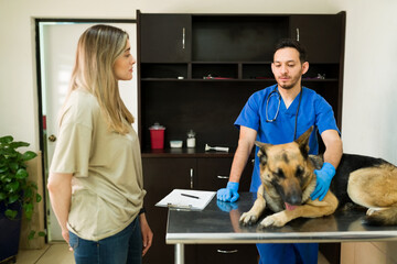 Attractive vet talking with a woman about her aging dog