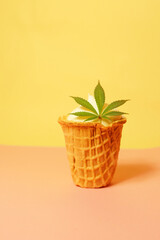 Ice cream with cannabis leaf. Marijuana infused dessert. Summer food. Vertical orientation. Double flavor