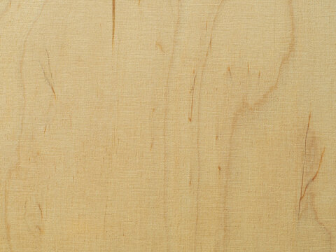 Birch Plywood Texture. Thin Cut Wood.