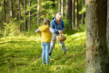 Fototapeta premium Cute little girl hiking in a forest with her grandmother on beautiful summer day.