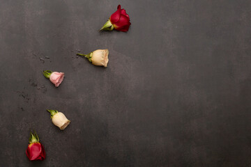 Red roses, white roses and pink rose  on gray background with space for your text. Beautiful Roses arranged chaotically. Five different roses. The concept of a floral frame.
Top view flat lay