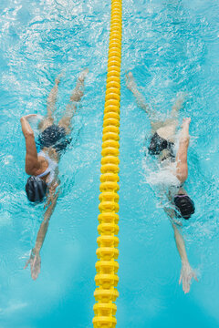 Women swimming laps in pool