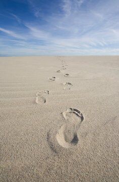 USA, Massachusetts, Cape Cod, footprints on beach