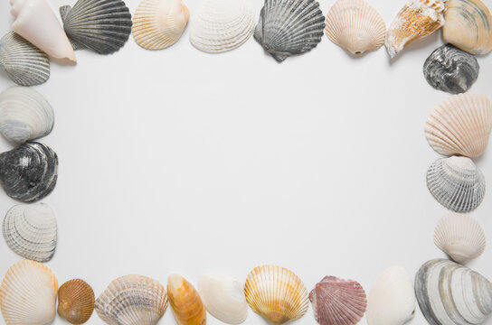 Seashells in shape of picture frame