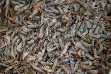 Fresh raw shrimp on the counter