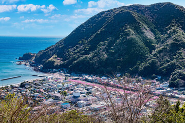 静岡県賀茂郡河津町　河津城跡公園から見た眺望(河津桜咲く3月の風景)