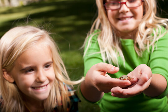 USA, Utah, close up of sisters (6-7, 8-9 ) holding frog