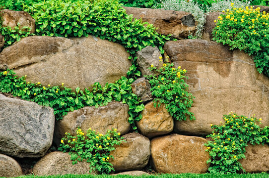 Garden wall