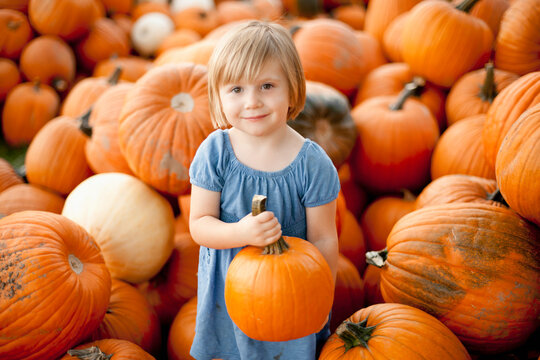 USA, Utah, Orem, portrait of girl (2-3) holding pumpkin