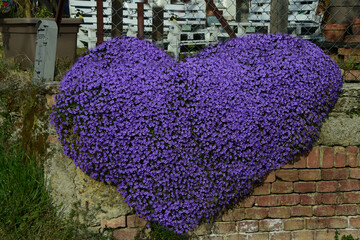 Cuore di fiori