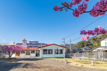 桜咲く春の幼稚園(保育園)
