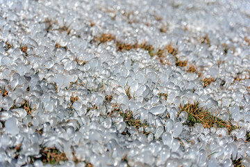 Mist freezes on the grass forming ice bubbles.