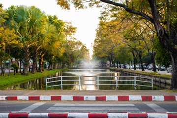 park natural trees with a river