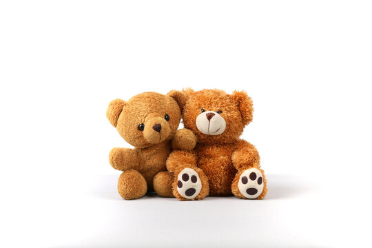 Two nice brown teddy bear sit and pose for photos 
