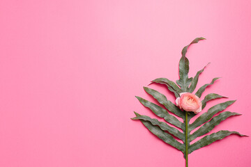 greeting card with pink flowers on pink background with place for the text