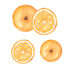 Watercolor orange illustration set, hand drawn tangerine fruit clipart. Organic healthy food.