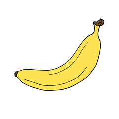 Vector hand drawn doodle sketch colored banana isolated on white background