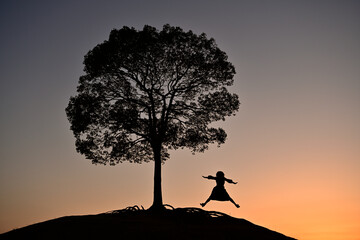 大樹の夕景