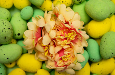Colorful flower with green and yellow Easter eggs behind. Easter, spring holidays concept