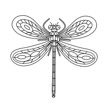 Dragonfly Beetle-Insect coloring book. Dragonfly linear vector illustration. Anti-stress coloring book for adults and children. Hand-drawn doodle coloring page.