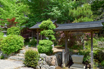 Fototapeta premium 白毫寺の情景