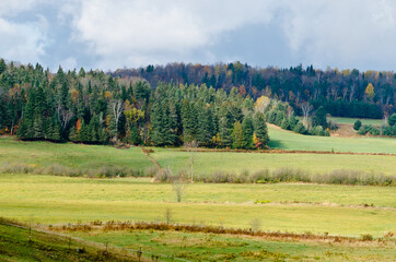 Rurar landscape