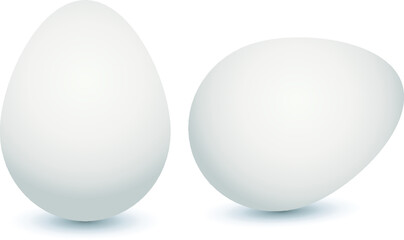 realistic 3d egg without background illustration