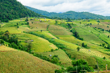 Pa Bong Piang Rice Terraces at Chiang Mai Province