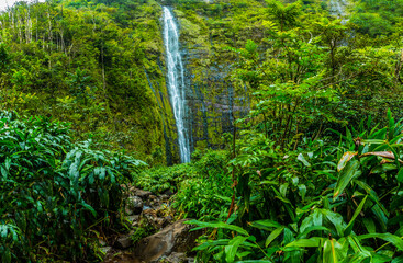 Waimoku Falls Drops Over 400 Feet at The End Of The Pipiwai Trail, Kipahulu District, Haleakala National Park, Maui, Hawaii, USA