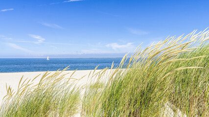Windy day at a white sand beach under the blue sky
