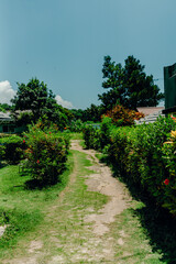 Fototapeta premium 沖縄の離島