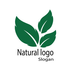 Leaf icon Vector Illustration design Logo template