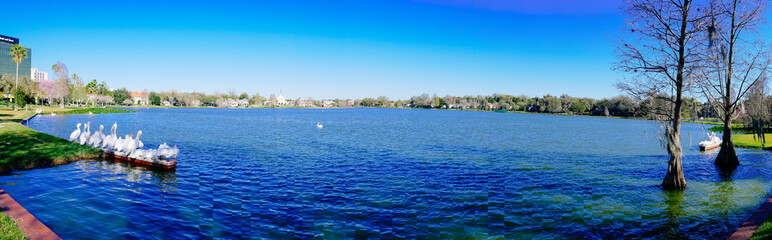 Fototapeta premium Spring of Lake Morton at city center of lakeland Florida 