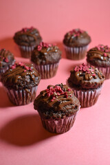 chocolate cupcakes