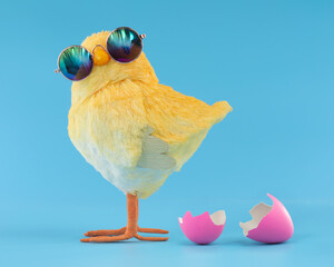 Easter decoration of a yellow chick wearing silly sunglasses with a pink cracked, hatched Easter egg. - obrazy, fototapety, plakaty