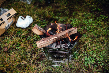 campfire in the forest