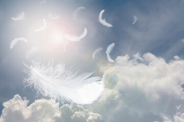 Beautiful Group of White Feathers Floating in the Sky with Cloudy. Abstract Feather Flying in Heaven.