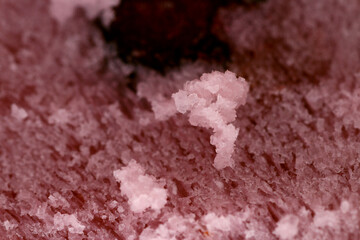 Close up of frozen yogurt