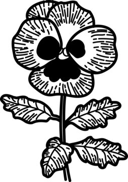2 728 Best パンジー ビオラ Images Stock Photos Vectors Adobe Stock 2 728 Best パンジー ビオラ Images Stock Photos Vectors Adobe Stock