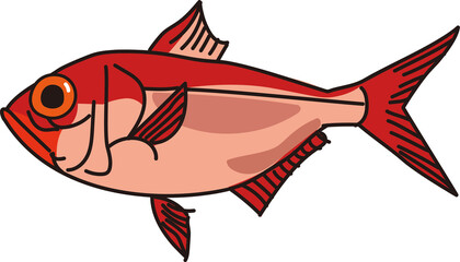 金目鯛の簡単なイラスト