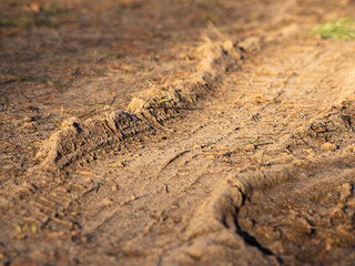 The track of a car tire tread in the frozen ground in a wooded area in sunny weather. Shooting with selective focus