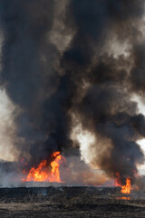 Fototapeta na wymiar 燃え上がる炎　葦の群生地の野焼き
