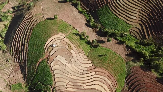 Top view Terraced rice field at Mae Cham Chiangmai Northern Thailand