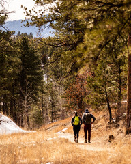 backpackers hiking in woods