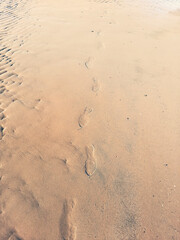 Fototapeta na wymiar Footprints of a man on the sand of the beach