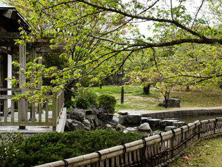 Springtime at Jonofuchi park in Matsuyama - Ehime prefecture, Japan